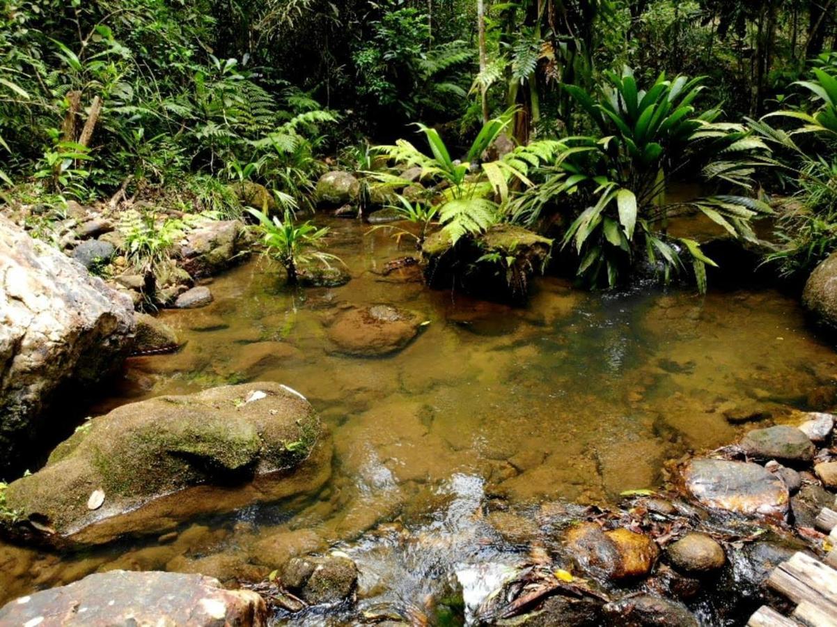 La Luciole Ecolodge Paraty Exterior photo