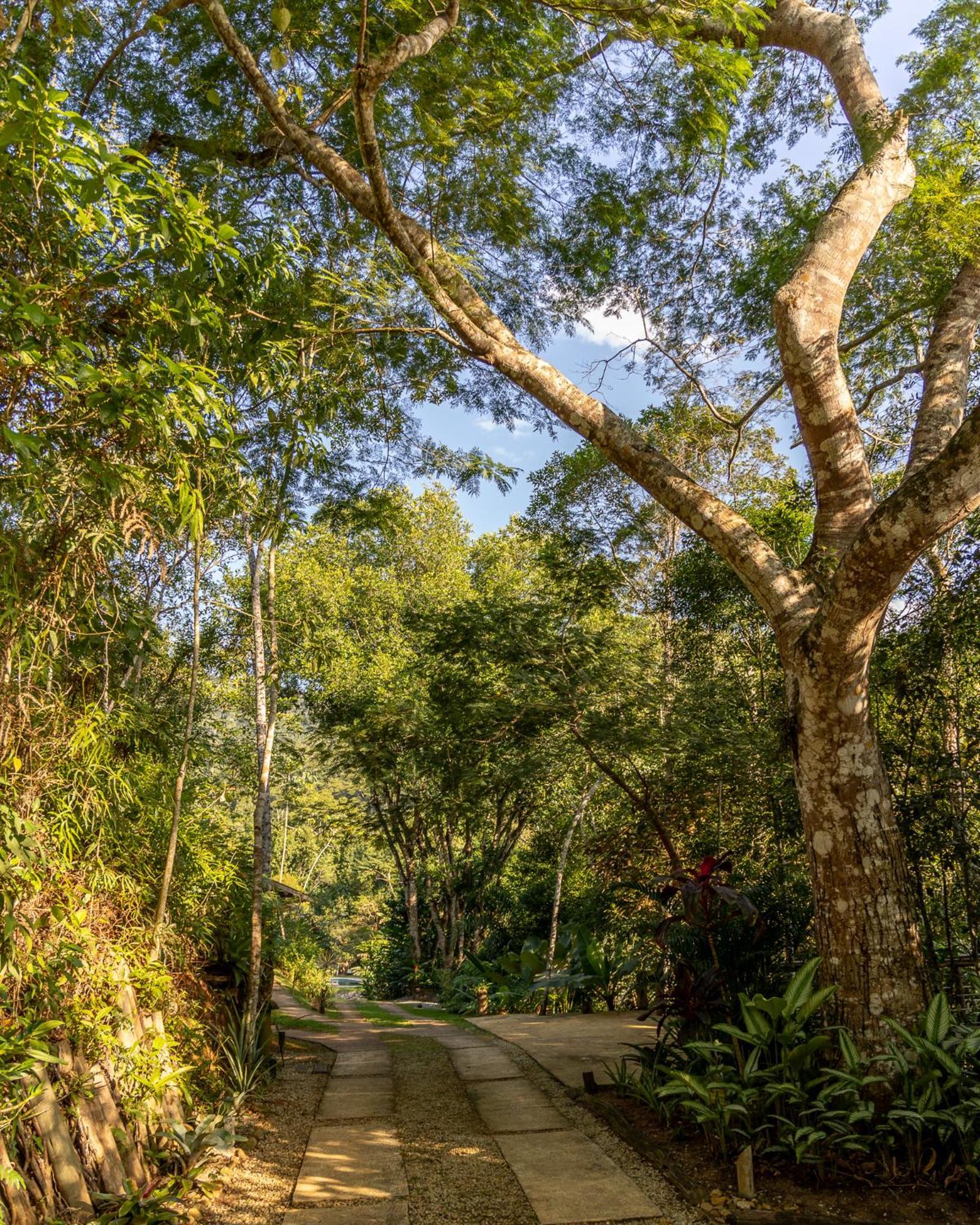 La Luciole Ecolodge Paraty Exterior photo